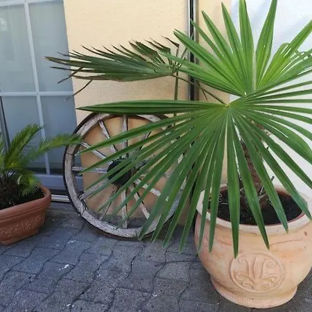 Tolle In Burkheim * فوغتسبورغ